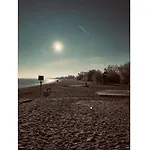 Michael's Elbe Dream *