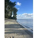 Michael's Elbe Dream