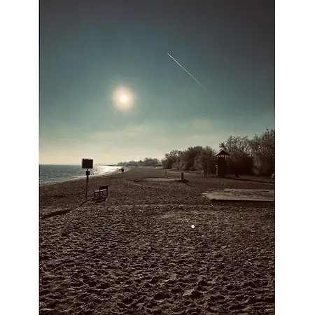 Michael's Elbe Dream *