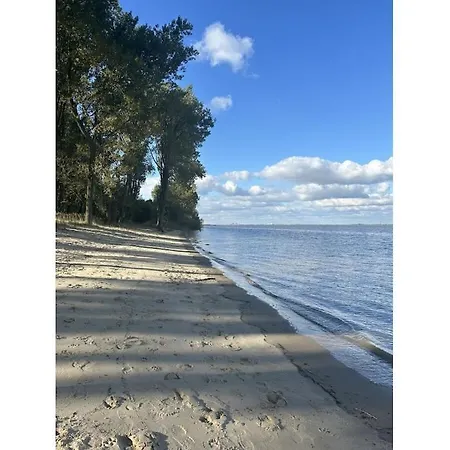 Michael's Elbe Dream