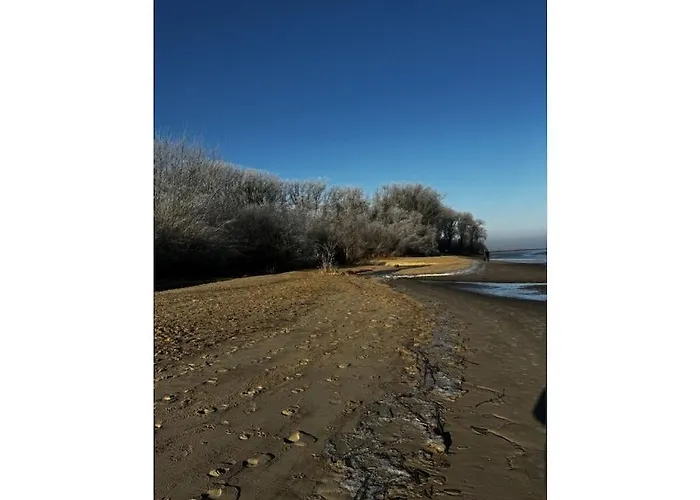 Michael's Elbe Dream Drochtersen