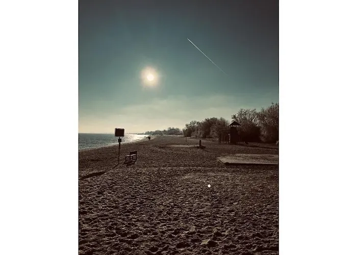 Michael's Elbe Dream *