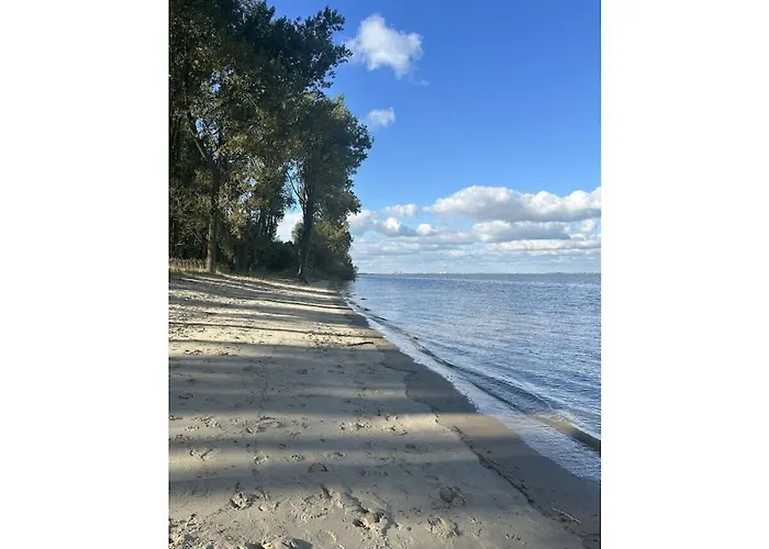 Michael's Elbe Dream